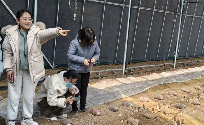 天誉国际·(中国)官方网站